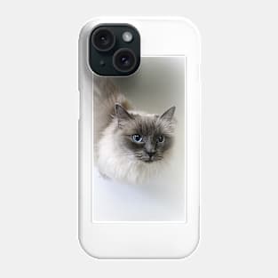 Ragdoll Lou Phone Case