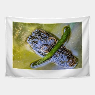 Wild Baby Alligator 3 Tapestry