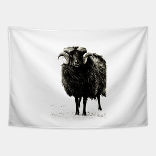 Black Ram Tapestry