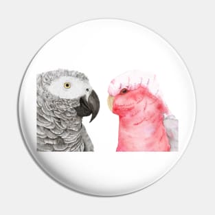 African gray and pink cockatoo in watercolor Pin