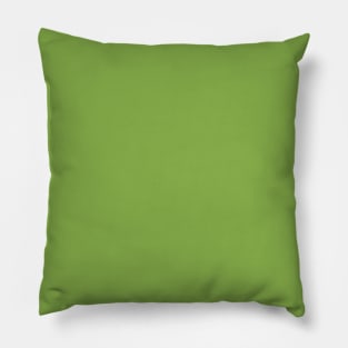 Light Green Pillow