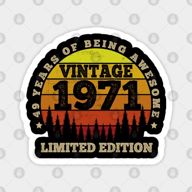 49 Year Old Gifts Vintage 1971 Limited Edition 49th Birthday Magnet by Attia17