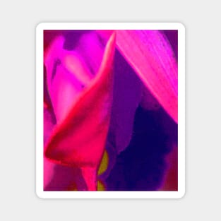 Hot Neon Flower Magnet