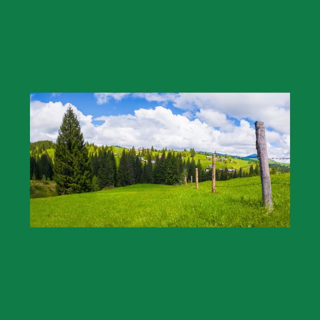 Carpathians village panorama by psychoshadow