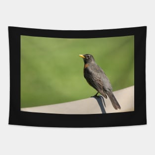 Robin Of Raymore Tapestry