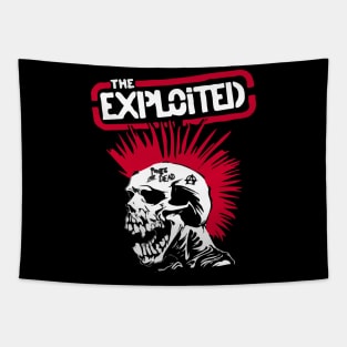 The Exploited Tapestry