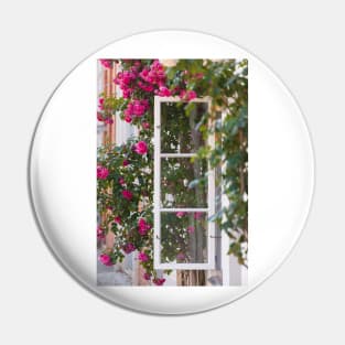 Window; shutter; Rose; roses Pin