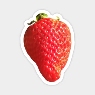 Strawberry Magnet