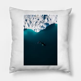 Aerial of a lone Humpback whale in front of an iceberg in Greenland Pillow