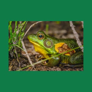 Big Ol' Green Frog Photograph T-Shirt