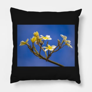 Plumeria Pillow