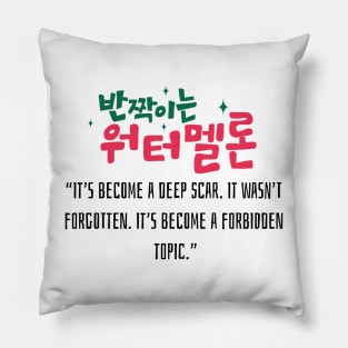 Twinkling Watermelon Korean Drama Pillow