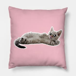 Cute Cat Pillow