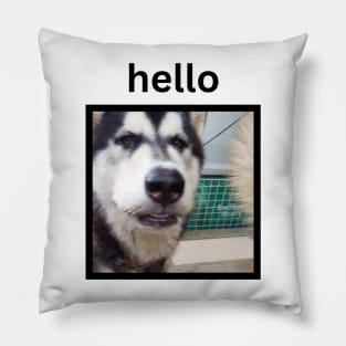 Funny Black Husky Face Hello Caption Pillow