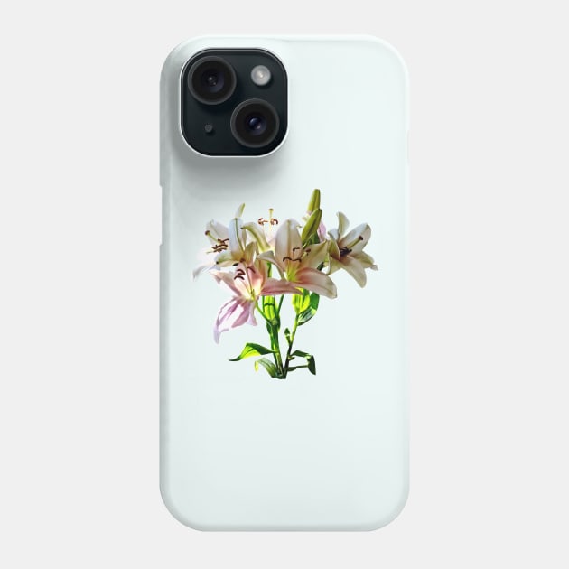 Backlit Pale Pink Lilies Phone Case by SusanSavad