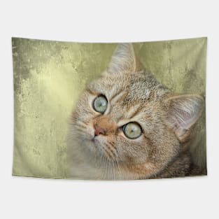 Golden Shaded British Shorthair Cat Tapestry