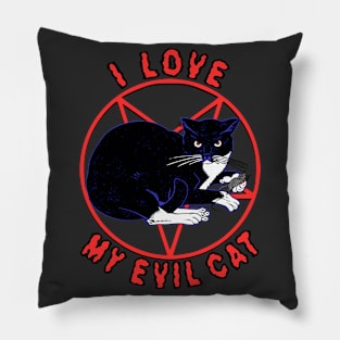 I Love My Evil Cat Funny Cat Shirt Pillow