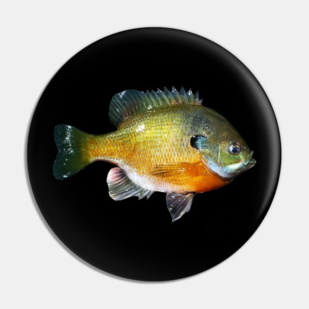 Bluegill Pin by fishindecals