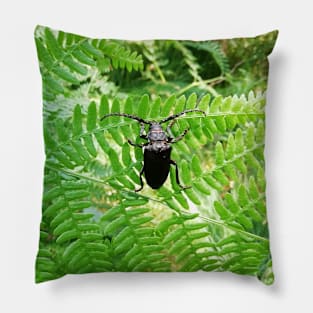 A big insect Pillow