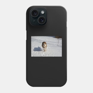 Running free in the snow Phone Case