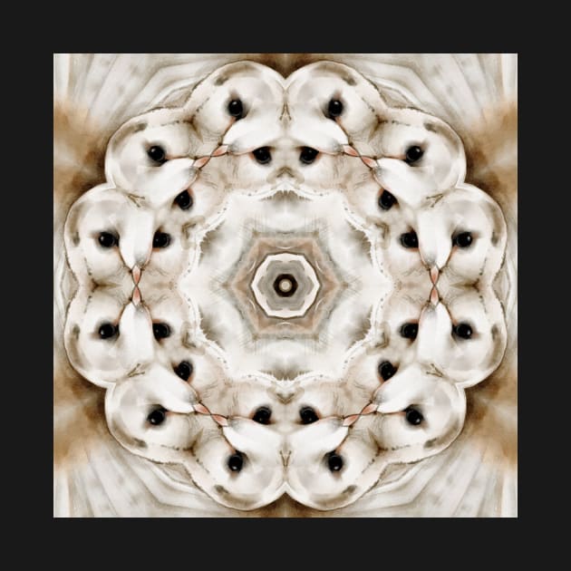 Owldala Kaleidoscope Pattern (Seamless) 1 by Swabcraft