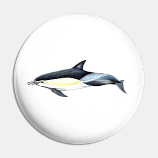 Common dolphin Pin