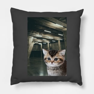 Brutalist Emerald Kitten Pillow