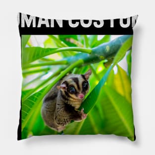 Sugar glider Halloween costume Pillow