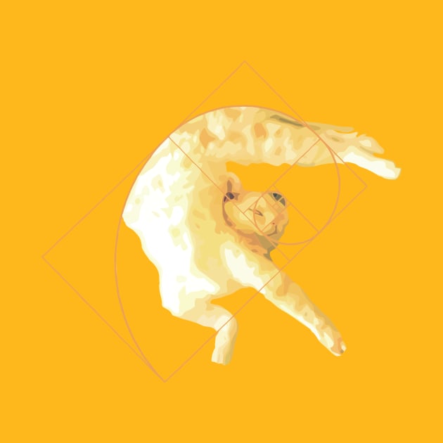 Golden Ratio Cat by Teenugs