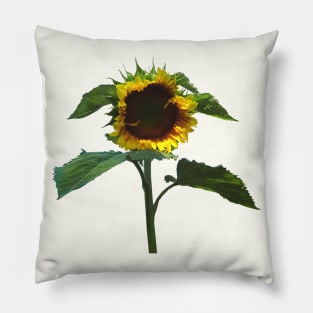 Sunflower With Frilly Edge Pillow