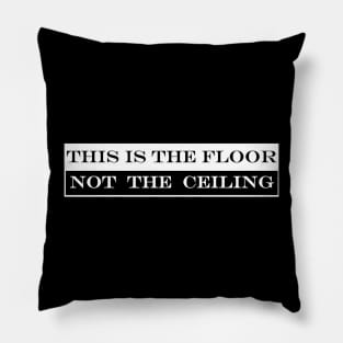 this is the floor not the ceiling Pillow