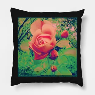 Wild Rose of the Forest Pillow