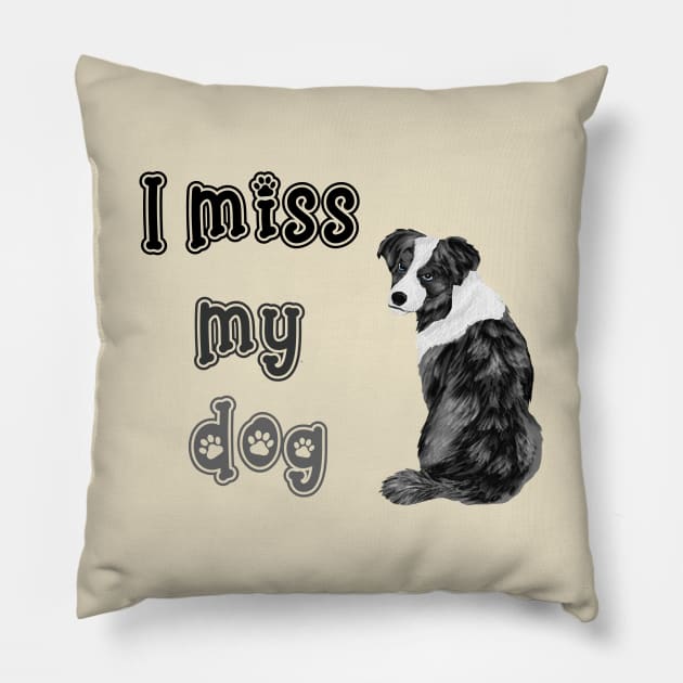 I miss my dog Pillow by Jane Winter