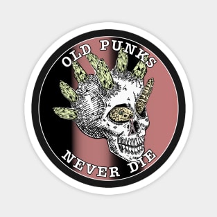 Old Punks Never Die Skull Magnet