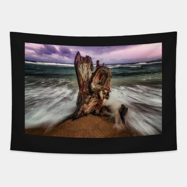 A Battered Tree Stump Tapestry by JeffreySchwartz