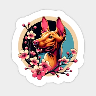 Pharaoh Hound's Spring Celebration with Cherry Blossoms Magnet