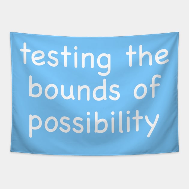 Testing the Bounds of Possibility Tapestry by Whoopsidoodle