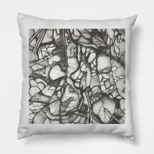 Botanical Plant Study Pillow