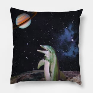 Planet Dolphin Pillow