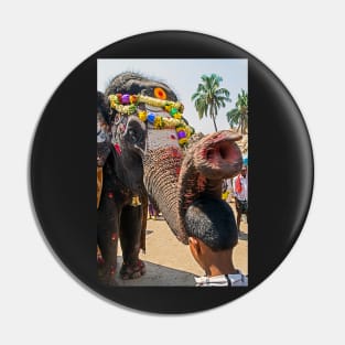 Elephant Blessing. Pin