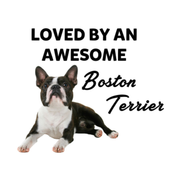 Boston Terrier Size Chart