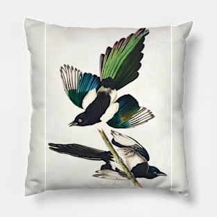 American Magpie from Birds of America (1827) Pillow