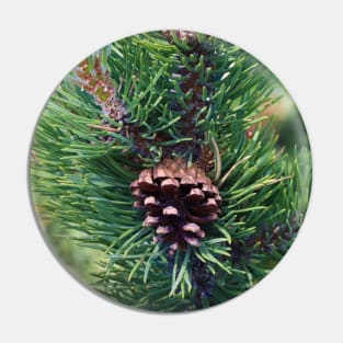 Pinecone - Switserland Pin