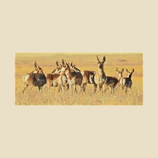 Pronghorn, Antelope, Wildlife, gifts, Life of the Herd T-Shirt