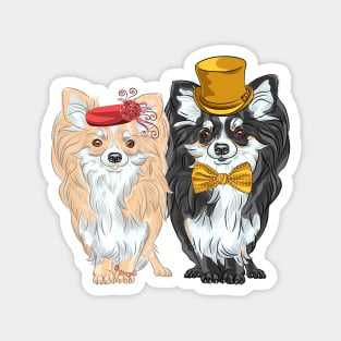 Set of dogs Chihuahua, Lady and Gentelman Magnet