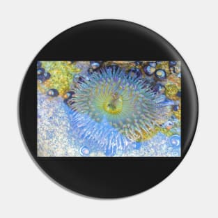 Anemone Pin