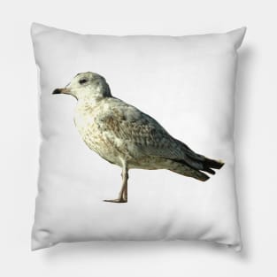 Seagull Pillow