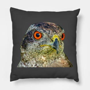 Goshawk eyes Pillow