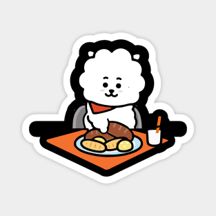 RJ Magnet