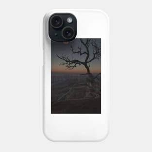 850_8833 Phone Case